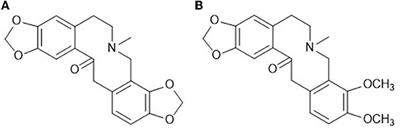 Exploring the Anti-inflammatory Effects of Protopine Total Alkaloids of Macleaya Cordata (Willd.) R. Br.